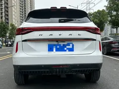 2023 Haval H6 1.5T AT Guochao Urban, белый — фото 19