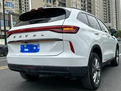 2023 Haval H6 1.5T AT Guochao Urban, белый — фото 20