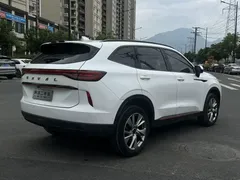 2022 Haval H6 1.5T AT 2WD Supreme, белый — фото 5