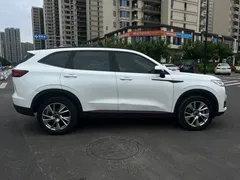 2022 Haval H6 1.5T AT 2WD Supreme, белый — фото 8