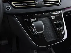 2024 Hongqi HQ9 2.0T 4WD Luxury — фото 10