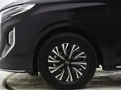 2024 Hongqi HQ9 2.0T 4WD Luxury — фото 14