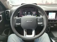 2021 Haval Dargo 1.5T DCT 2WD Border Collie — фото 11