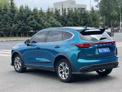 2022 Haval Chitu 1.5T, синий — фото 13