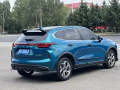 2022 Haval Chitu 1.5T, синий — фото 15