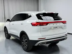 2023 Haval H6 1.5T AT, белый — фото 17