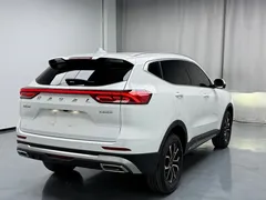 2023 Haval H6 1.5T AT, белый — фото 19