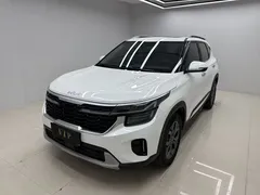2023 Kia Seltos 1.5L CVT Luxury, белый — фото 1