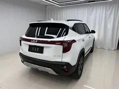 2023 Kia Seltos 1.5L CVT Luxury, белый — фото 4