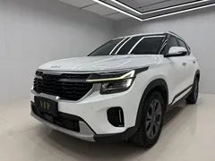 2023 Kia Seltos 1.5L CVT Luxury, белый — фото 7