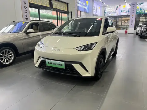 2024 BYD Seagull Honor 305km Vitality