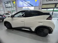 2024 BYD Seagull Honor 305km Vitality, белый — фото 6
