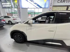 2024 BYD Seagull Honor 305km Vitality, белый — фото 8