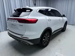 2021 Haval H6 1.5T AT, белый — фото 6