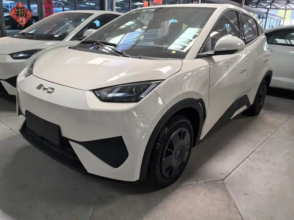 2025 BYD Seagull 305km