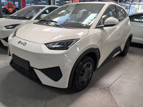 2025 BYD Seagull 305km