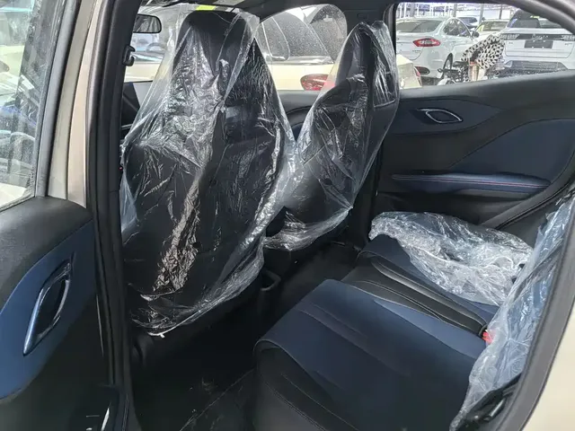 2025 BYD Seagull 305km
