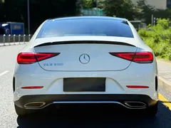 2021 Mercedes-Benz CLS 300 Luxury, белый — фото 15