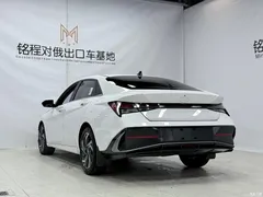 2023 Hyundai Elantra 1.5L CVT LUX Premium, белый — фото 6