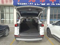 2020 Geely Atlas 1.8TD DCT Zhilian PRO, белый — фото 19