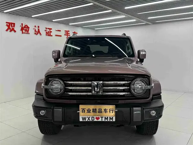 2023 Tank 300 2.0T City Edition