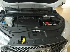 2021 Haval M6 PLUS 1.5T DCT, белый — фото 16