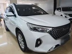 2021 Haval M6 PLUS 1.5T DCT, белый — фото 22
