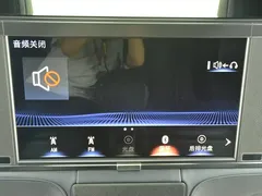 2020 Lexus LM 300h, чёрный — фото 14