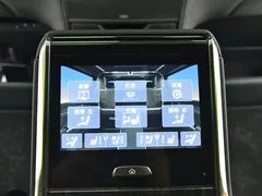 2020 Lexus LM 300h, чёрный — фото 15