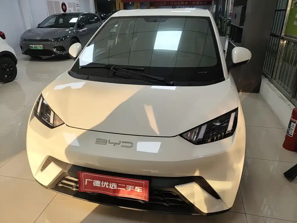 2023 BYD Seagull Freedom