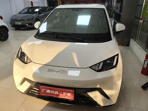 2023 BYD Seagull Freedom