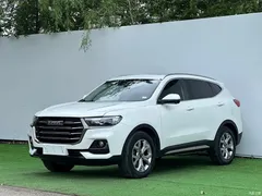 2021 Haval H6 Guochao 1.5T AT Champion, белый — фото 1