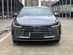 2024 BYD Destroyer 05 DM-i 120KM — фото 2