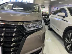 2022 Honda Alison 2.0L e:HEV Luxury — фото 4