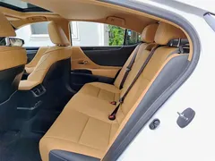 2021 Lexus ES 260 Excellence, белый — фото 9