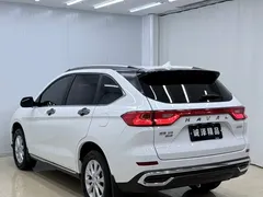 2021 Haval M6 Plus 1.5T DCT Luxury, белый — фото 6