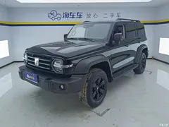 2021 Tank 300 Off-Road 2.0T Conqueror, чёрный — фото 1