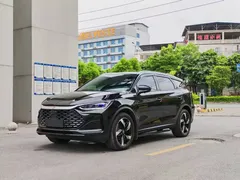 2024 BYD Tang 112KM, чёрный — фото 1