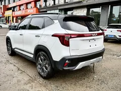 2023 Kia Seltos 1.5L CVT Luxury, белый — фото 4