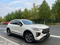 2022 Haval Chitu 1.5T, белый — фото 3