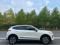 2022 Haval Chitu 1.5T, белый — фото 4