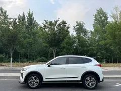 2022 Haval Chitu 1.5T, белый — фото 5