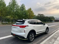 2022 Haval Chitu 1.5T, белый — фото 8