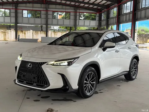 2022 Lexus NX New Energy 400h+ Changyue