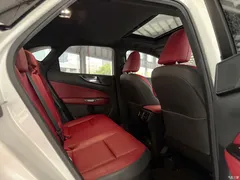 2022 Lexus NX New Energy 400h+ Changyue — фото 10