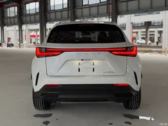 2022 Lexus NX New Energy 400h+ Changyue — фото 11