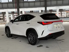 2022 Lexus NX New Energy 400h+ Changyue — фото 12