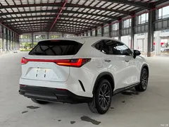 2022 Lexus NX New Energy 400h+ Changyue — фото 14