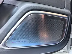 2024 Audi A7 L 45TFSI quattro S-line far-reaching liquid crystal set — фото 16