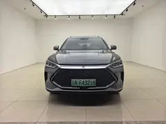 2021 BYD PLUS DM-i 110KM PLUS — фото 2